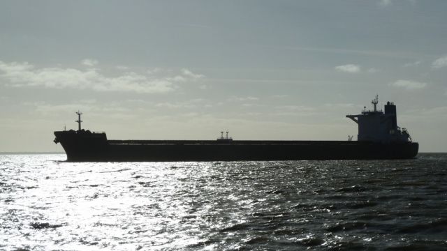 King Robert - estuaire Loire - 22 novembre 2012 (02).JPG